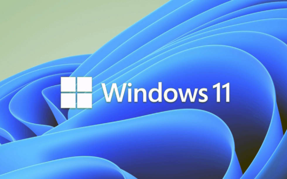 Windows 11